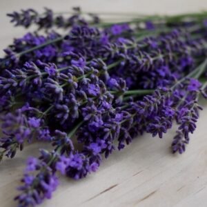 زيت اللافند 40/42 الاساسي